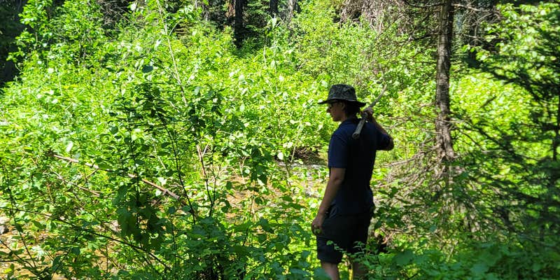 Camper submitted image from Silver Creek Plunge