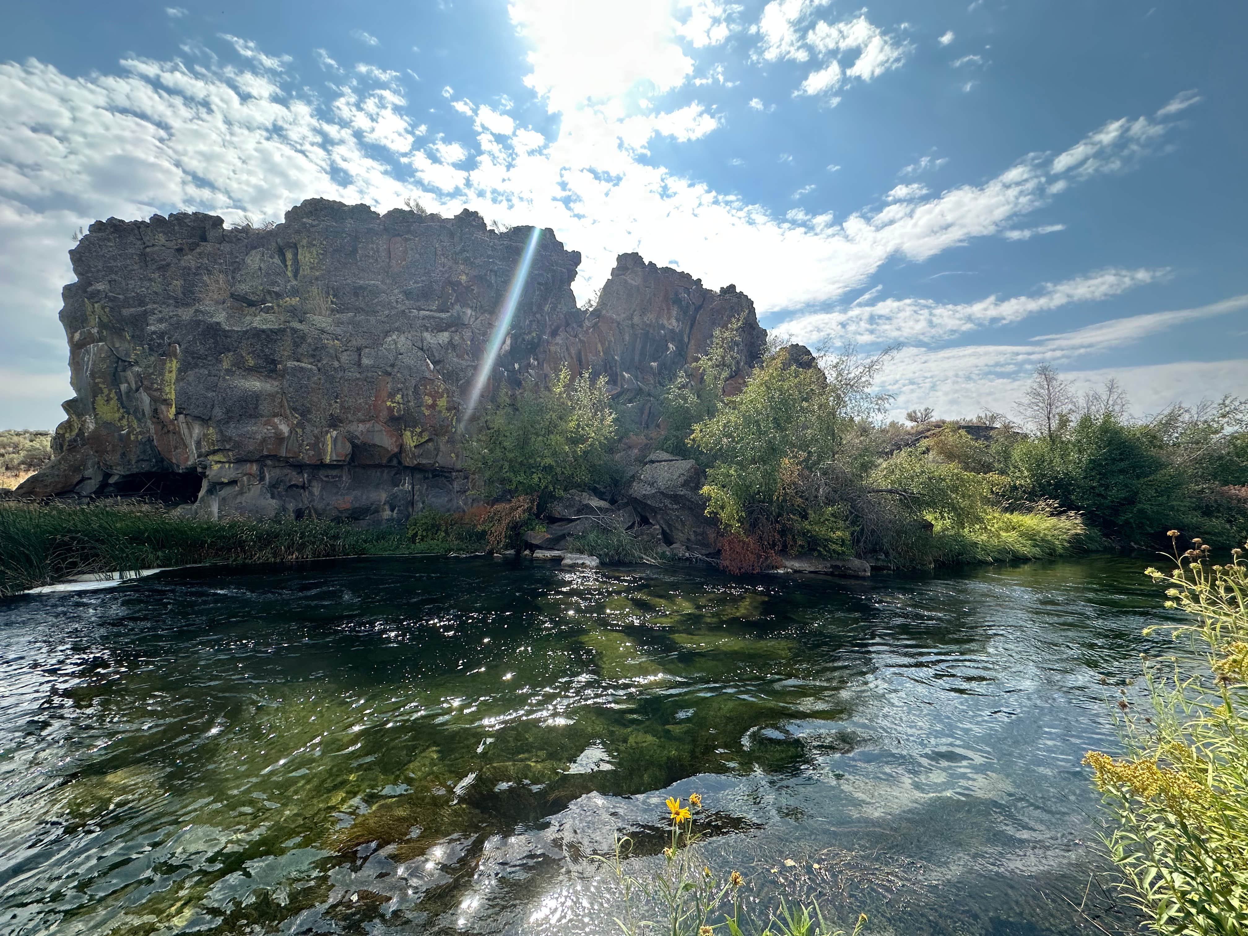 Camper-submitted photo at Silver Creek Public Access Dispersed near Corral, ID