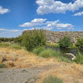 Review photo of Silver Creek Public Access Dispersed by Tinski H., August 1, 2026