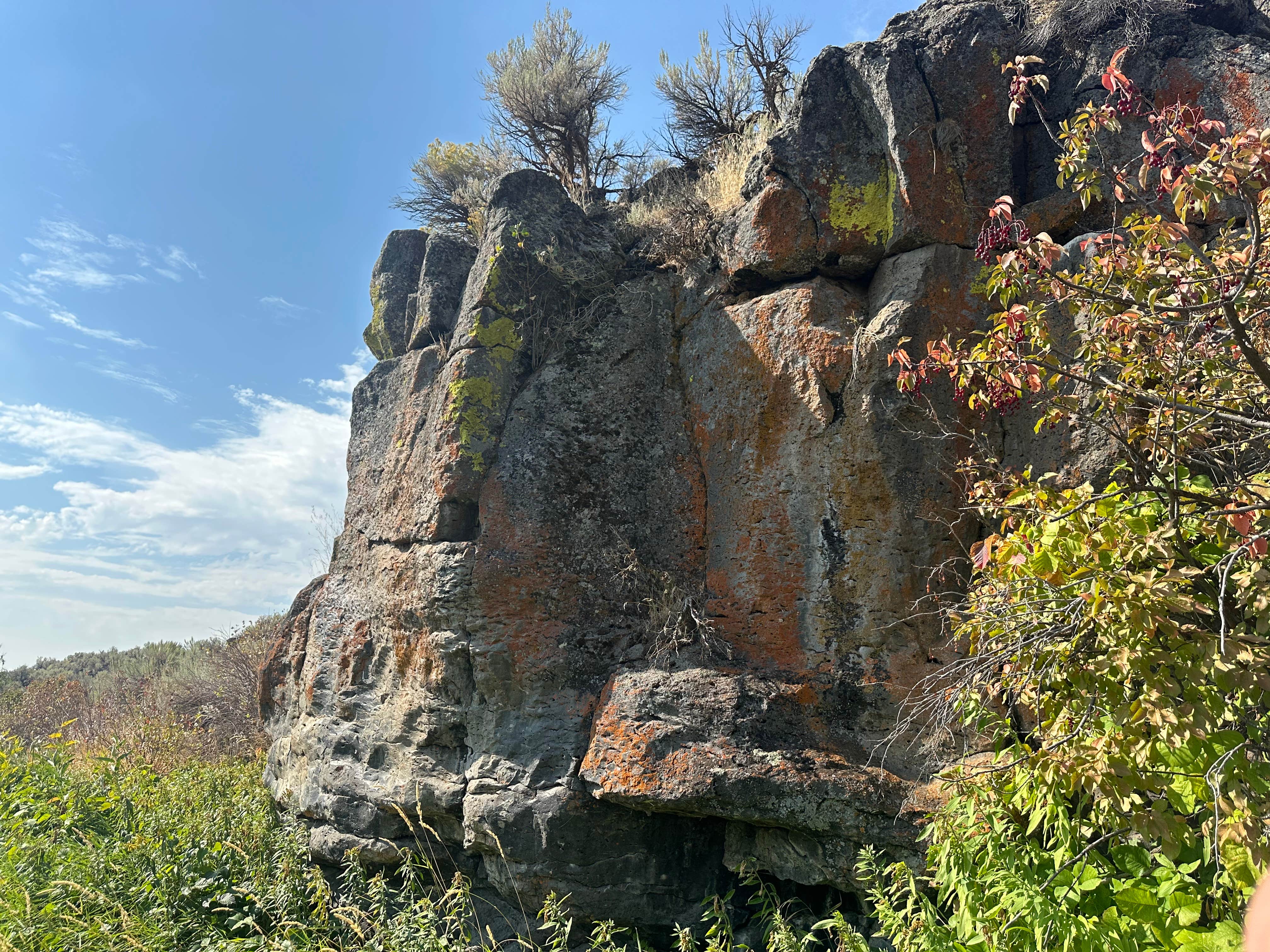 Camper-submitted photo at Silver Creek Public Access Dispersed near Corral, ID