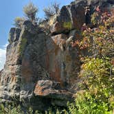 Review photo of Silver Creek Public Access Dispersed by Amber T., September 8, 2025