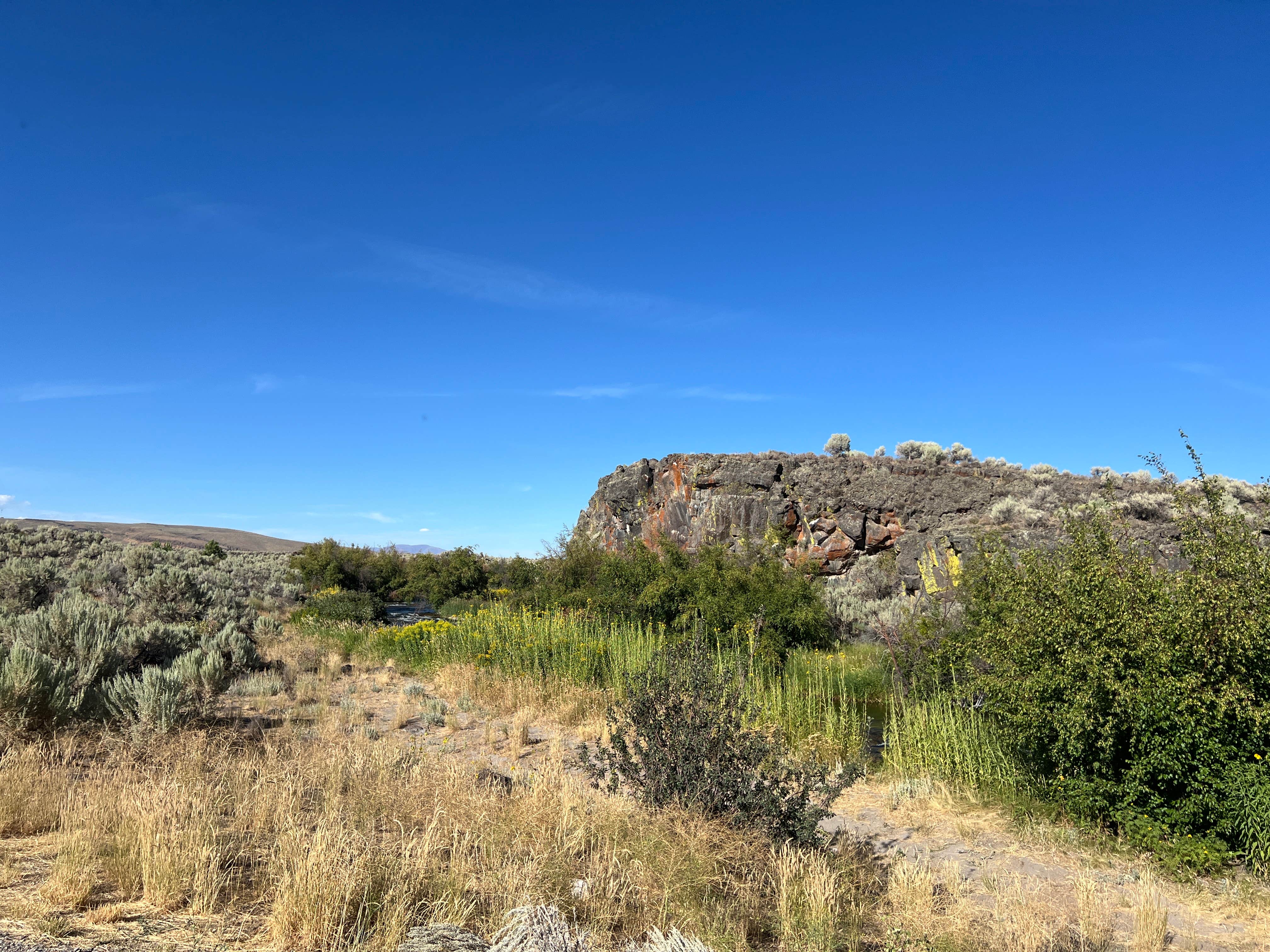 Camper-submitted photo at Silver Creek Public Access Dispersed near Corral, ID