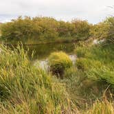 Review photo of Silver Creek West Access Area by Walter B., September 11, 2026