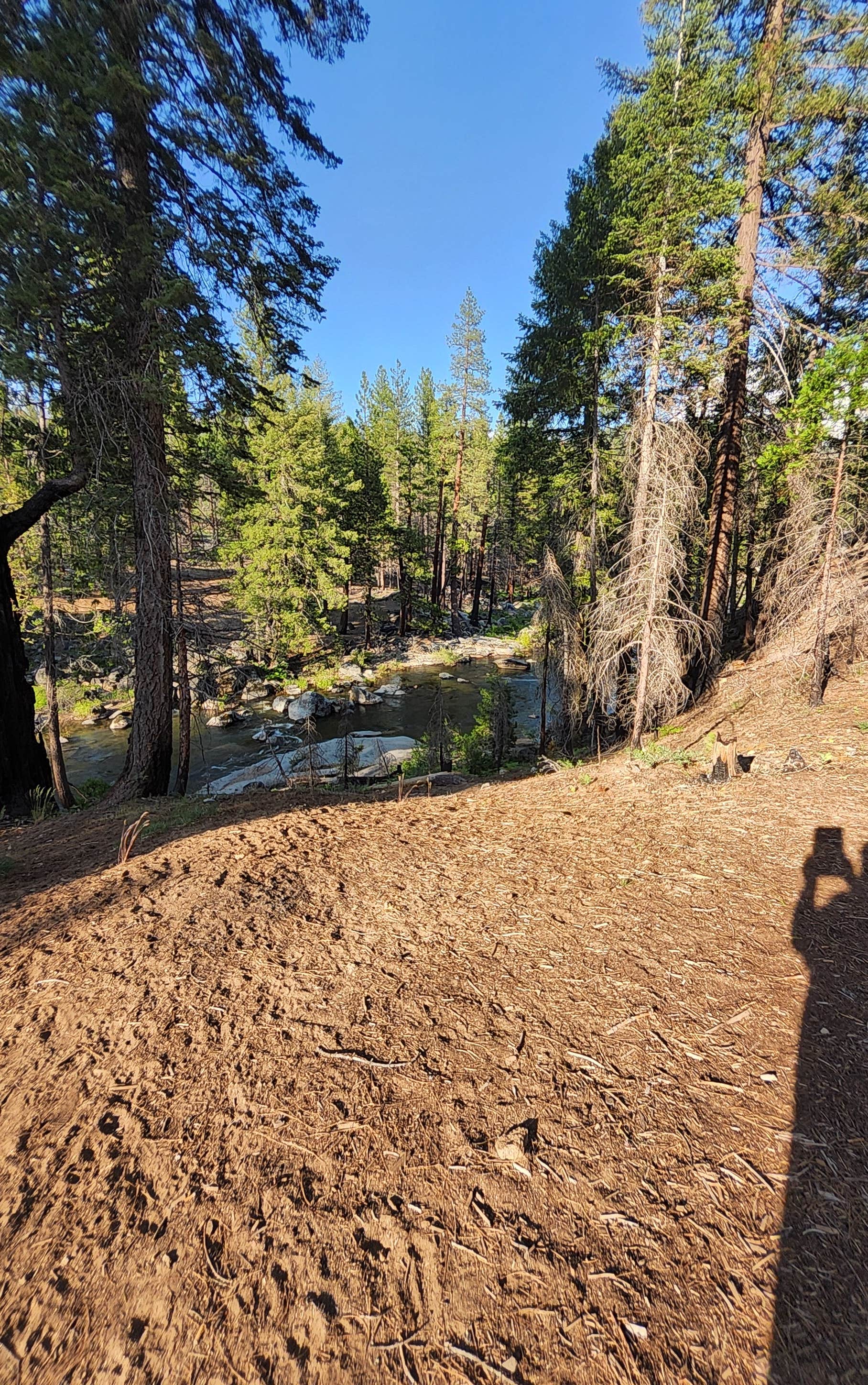 Camper submitted image from Silver Fork River Camping - 2