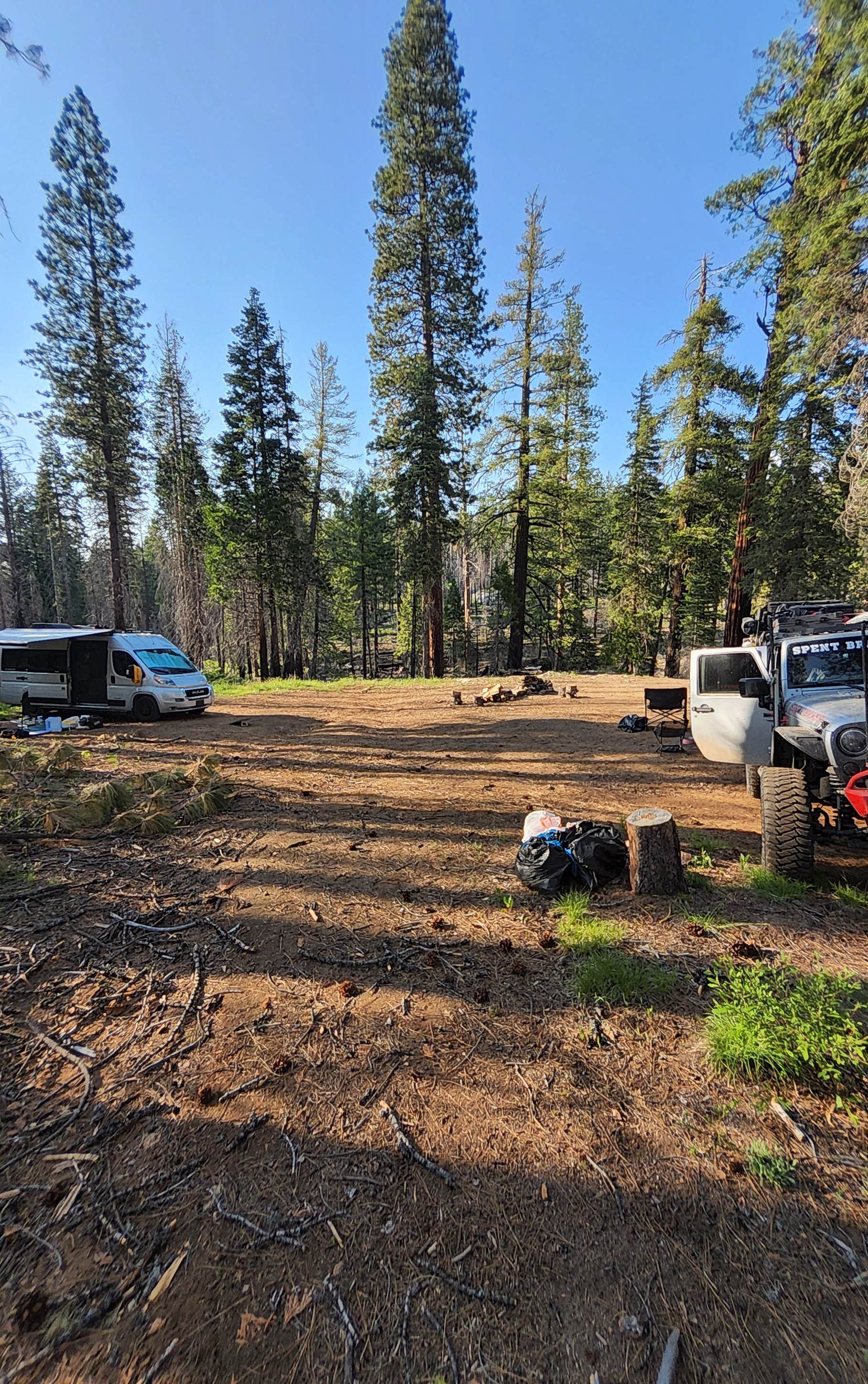 Camper submitted image from Silver Fork River Camping - 5