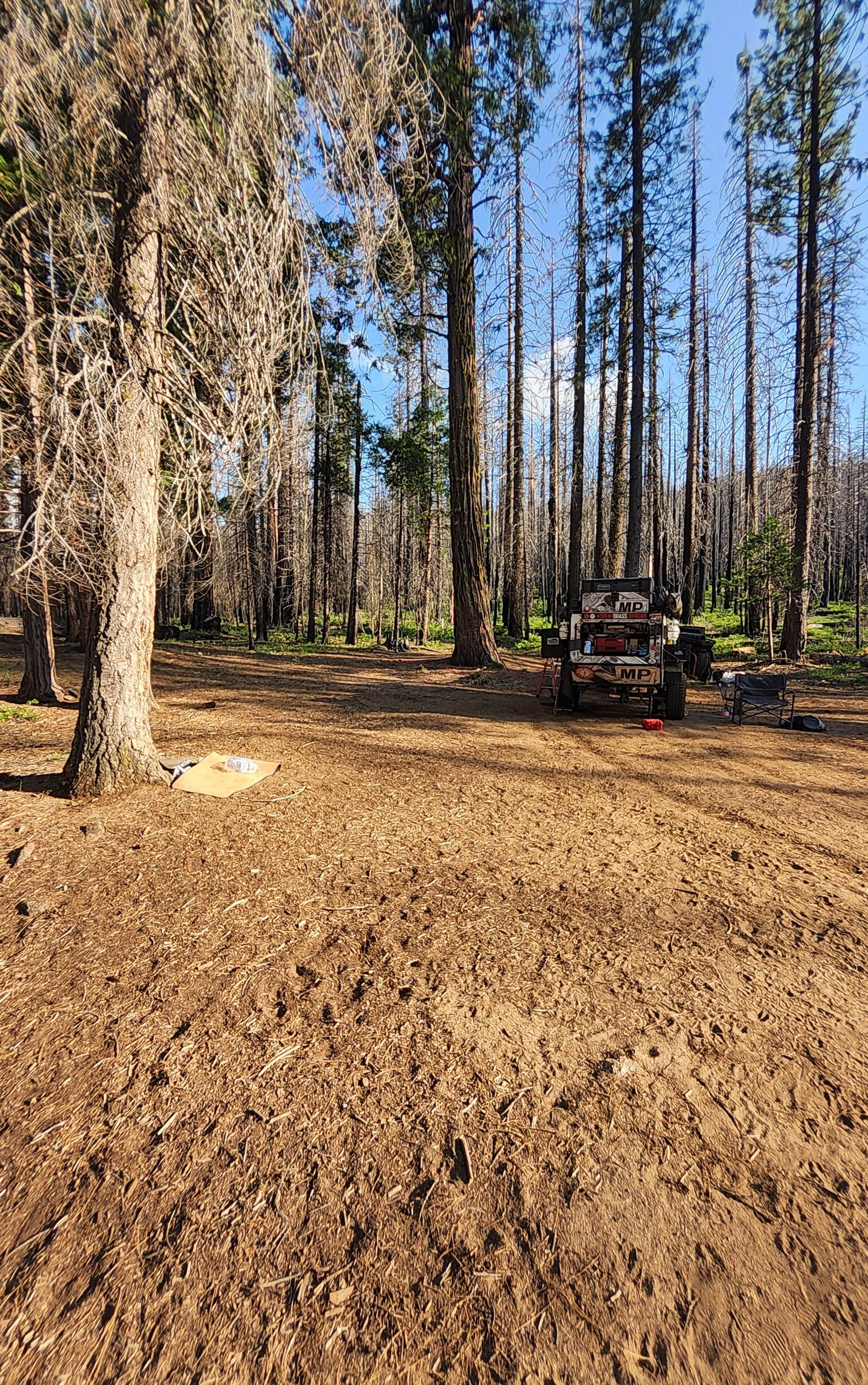 Camper submitted image from Silver Fork River Camping - 3