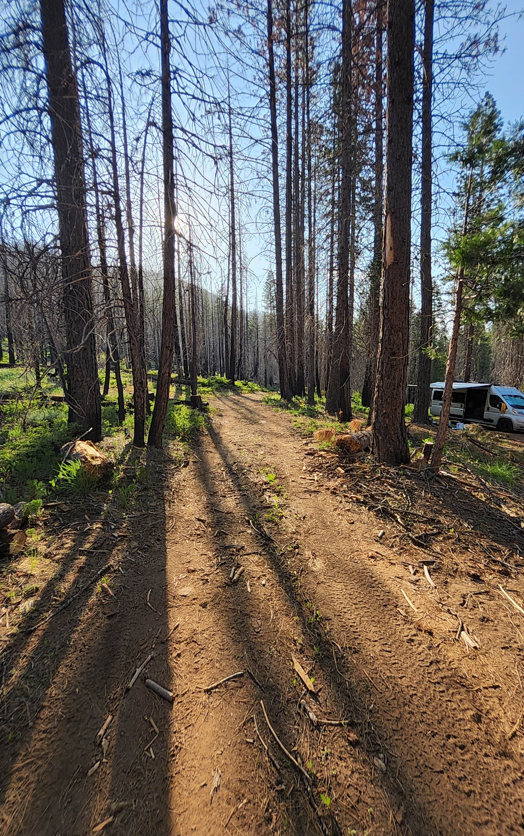 Camper-submitted photo at Silver Fork River Camping near Fort Jones, CA
