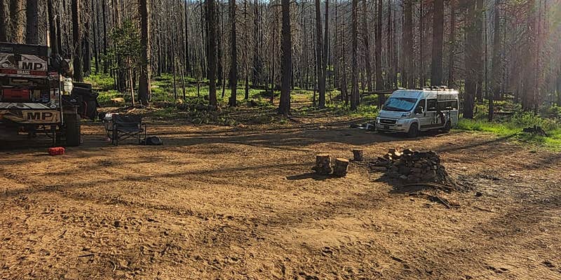 Camper submitted image from Silver Fork River Camping