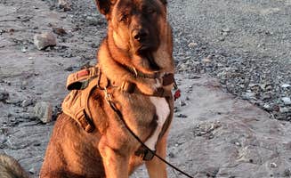 Erich J.'s photo of camping with pets at Silver Island Mountains by Bonneville Salt Flats near West Wendover, NV