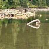 Review photo of Silver Queen Campground by Richard R., August 21, 2026