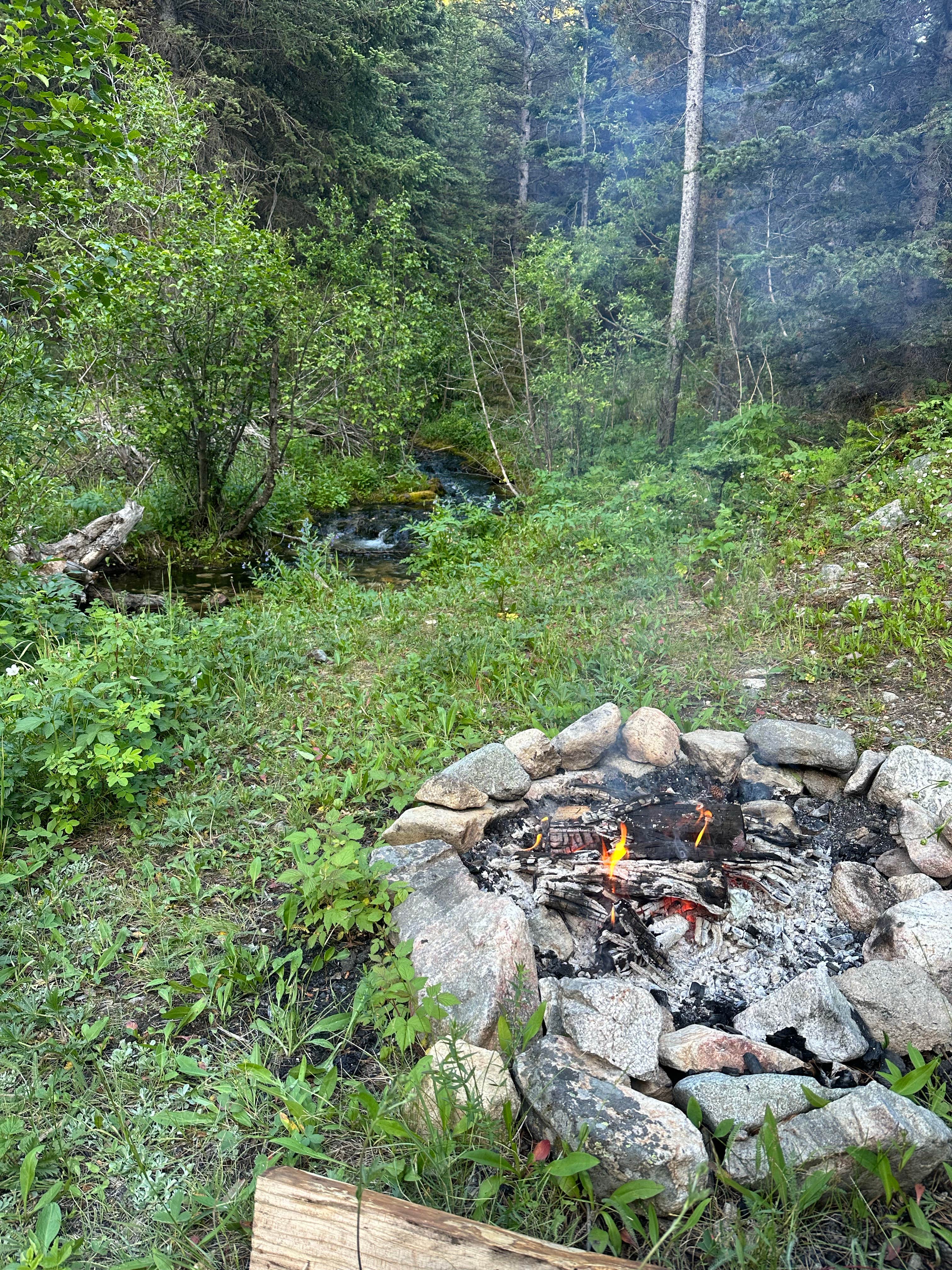 Camping near Greenough Lake: Silver Run Dispersed Camping Area, Red Lodge, Montana