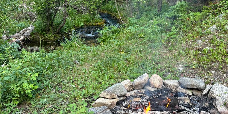 Camper submitted image from Silver Run Dispersed Camping Area