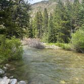 Review photo of Silver Run Dispersed Camping Area by Penny S., June 28, 2026