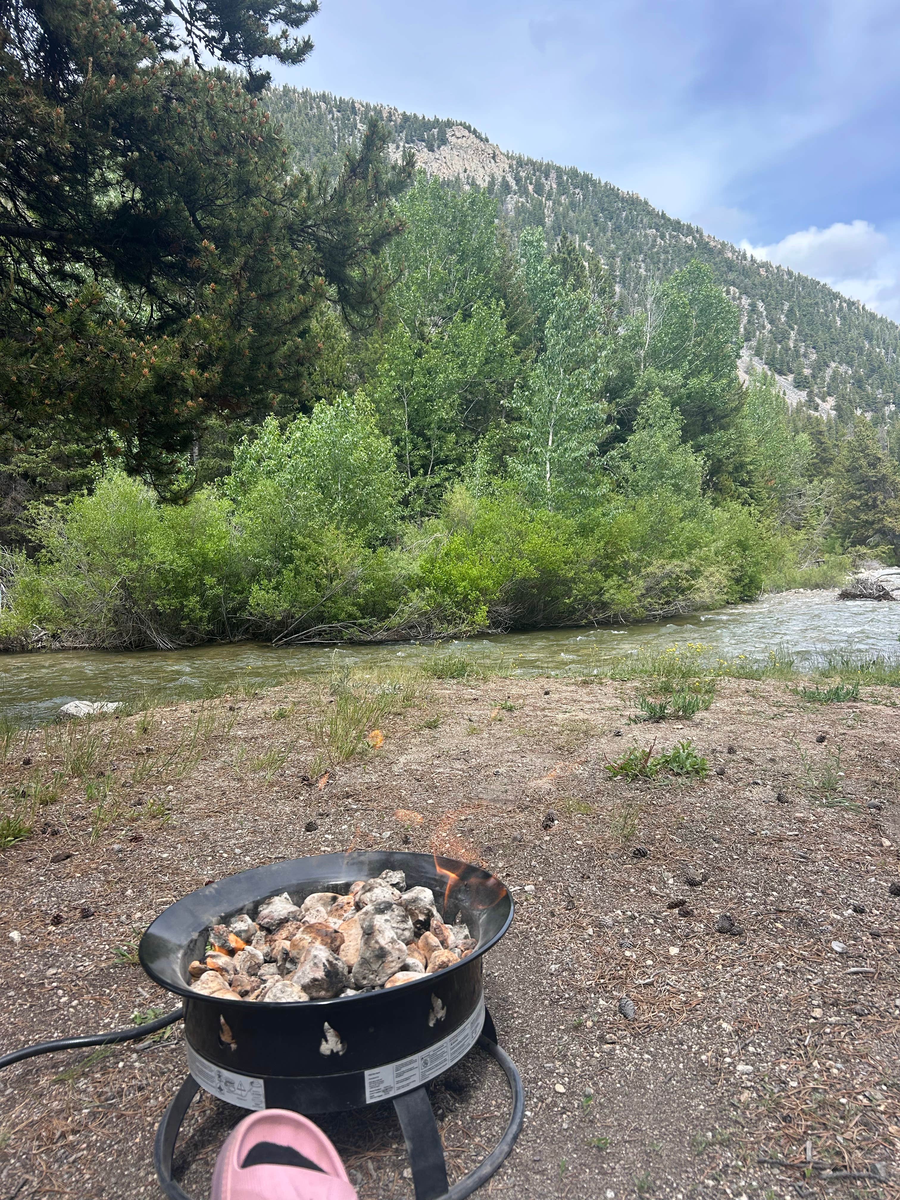 Camper-submitted photo at Silver Run Dispersed Camping Area near Red Lodge, MT