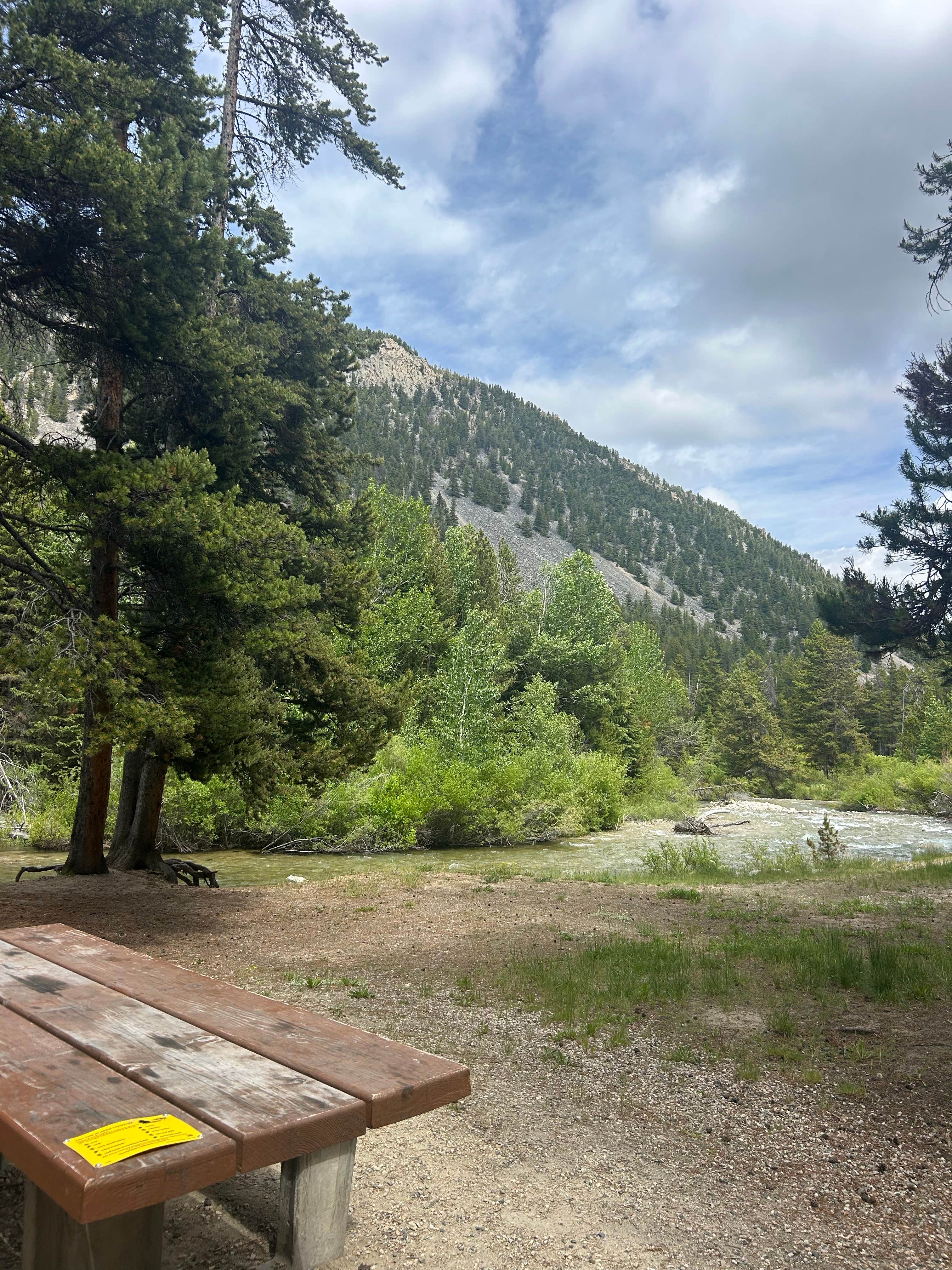Camper-submitted photo at Silver Run Dispersed Camping Area near Red Lodge, MT