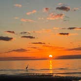 Review photo of Silver Slipper Beachfront RV Park by Donna T., October 26, 2025