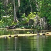 Review photo of Silver Springs State Park Campground by Kai Z., May 28, 2026