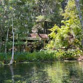 Review photo of Silver Springs State Park Campground by Maggie  C., June 10, 2024