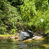 Review photo of Silver Springs State Park Campground by Amanda W., June 21, 2024