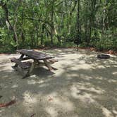 Review photo of Silver Springs State Park Campground by Kai Z., May 28, 2026