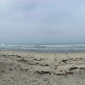 Review photo of Silver Strand State Beach Campground by Zack S., June 15, 2025