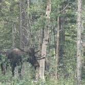 Review photo of Silverton 20A - Dispersed by Byron M., July 17, 2026