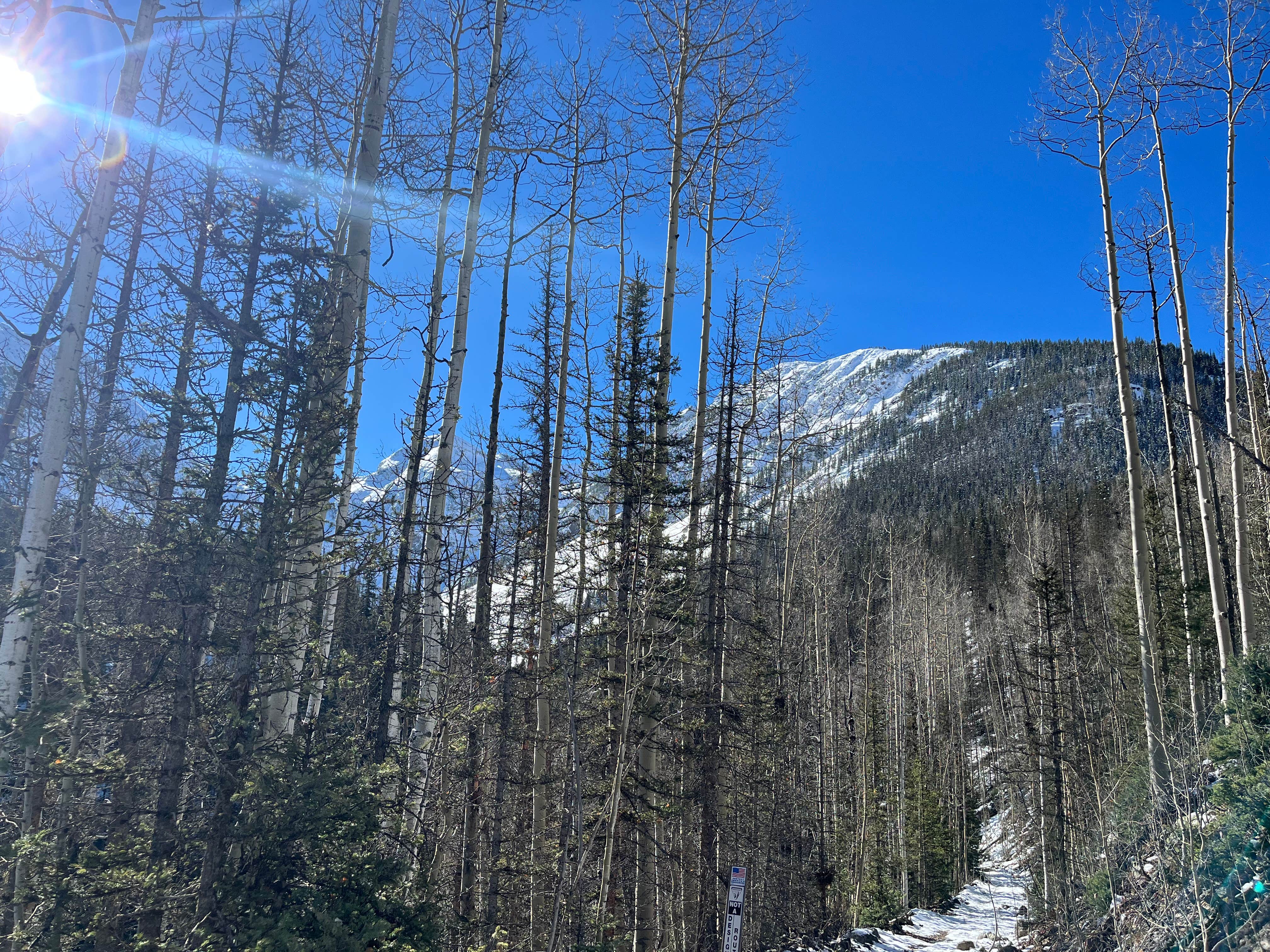 Camper-submitted photo at Silverton 20A - Dispersed near Cascade, CO