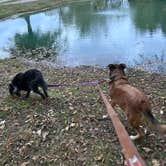 Review photo of Singing Hills RV Park And Campground by Paulene T., October 26, 2025