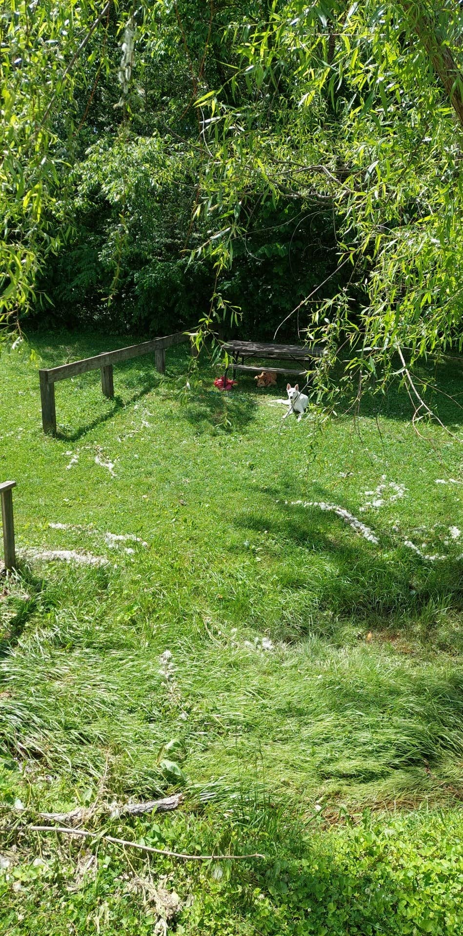 Sheri K.'s photo of camping with pets at Singing Hills RV Park And Campground near Mammoth Cave, KY