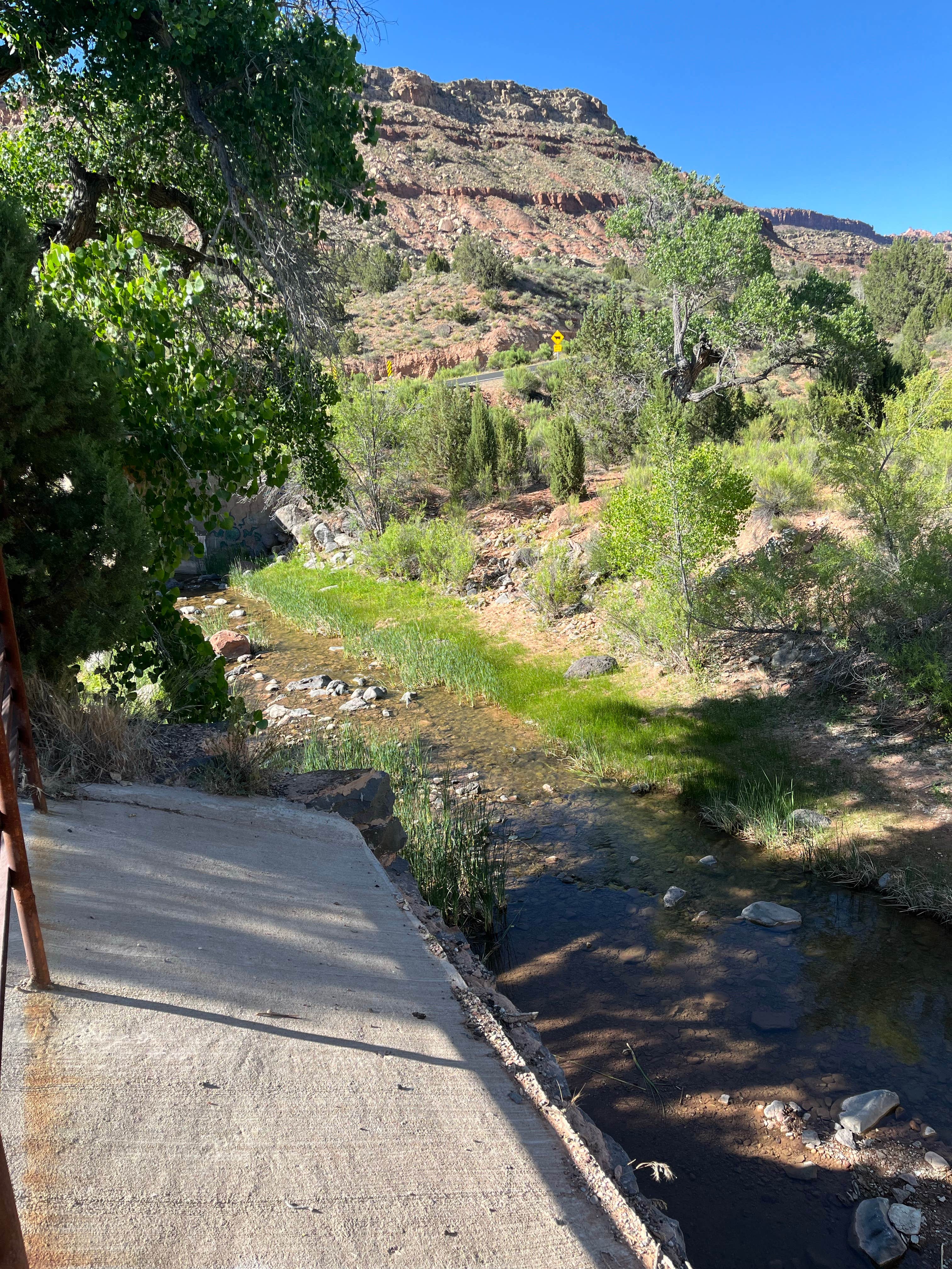 Camper submitted image from Single River Site - 4