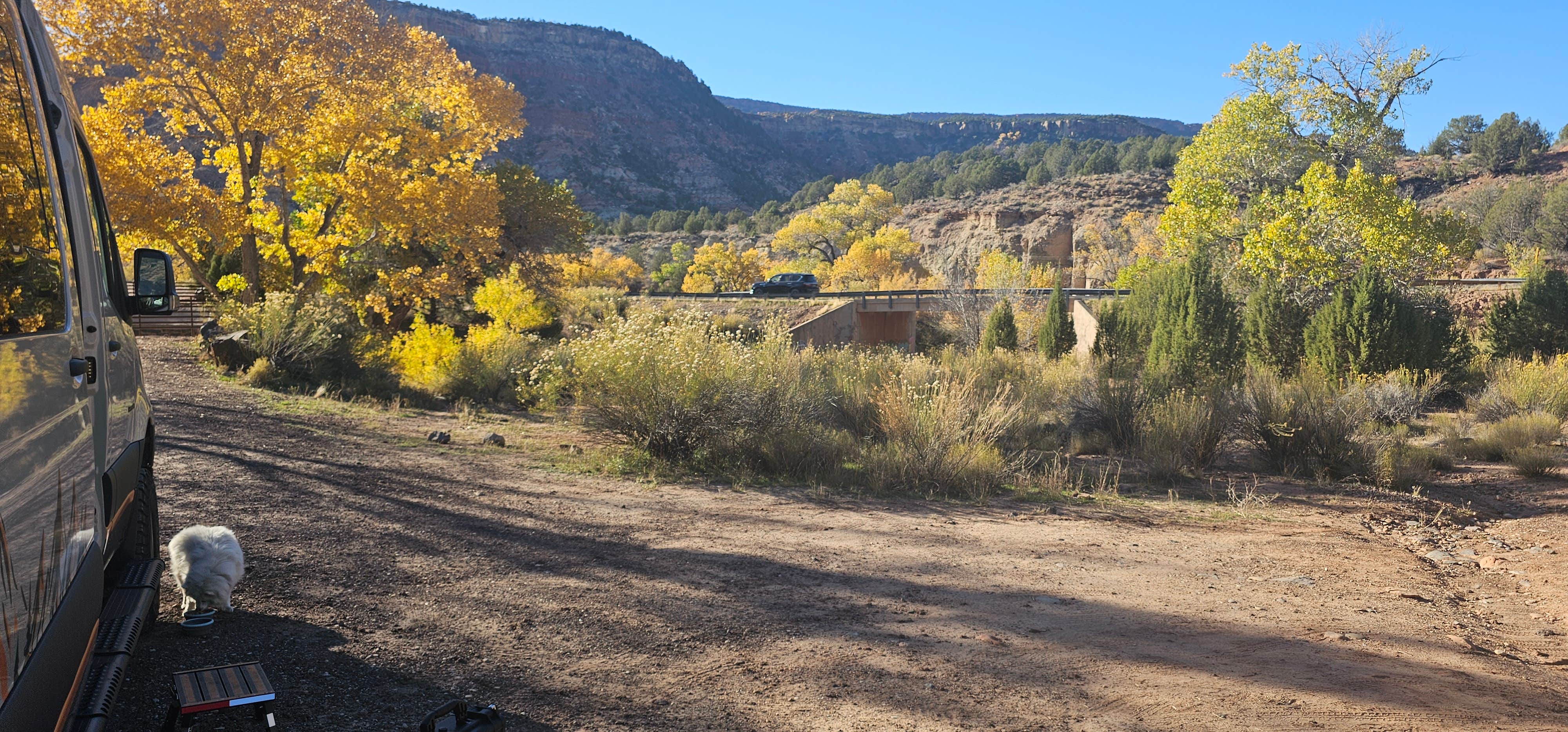 Steve M.'s photo of camping with pets at Single River Site near Zion National Park