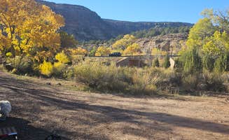 Steve M.'s photo of camping with pets at Single River Site near Zion National Park