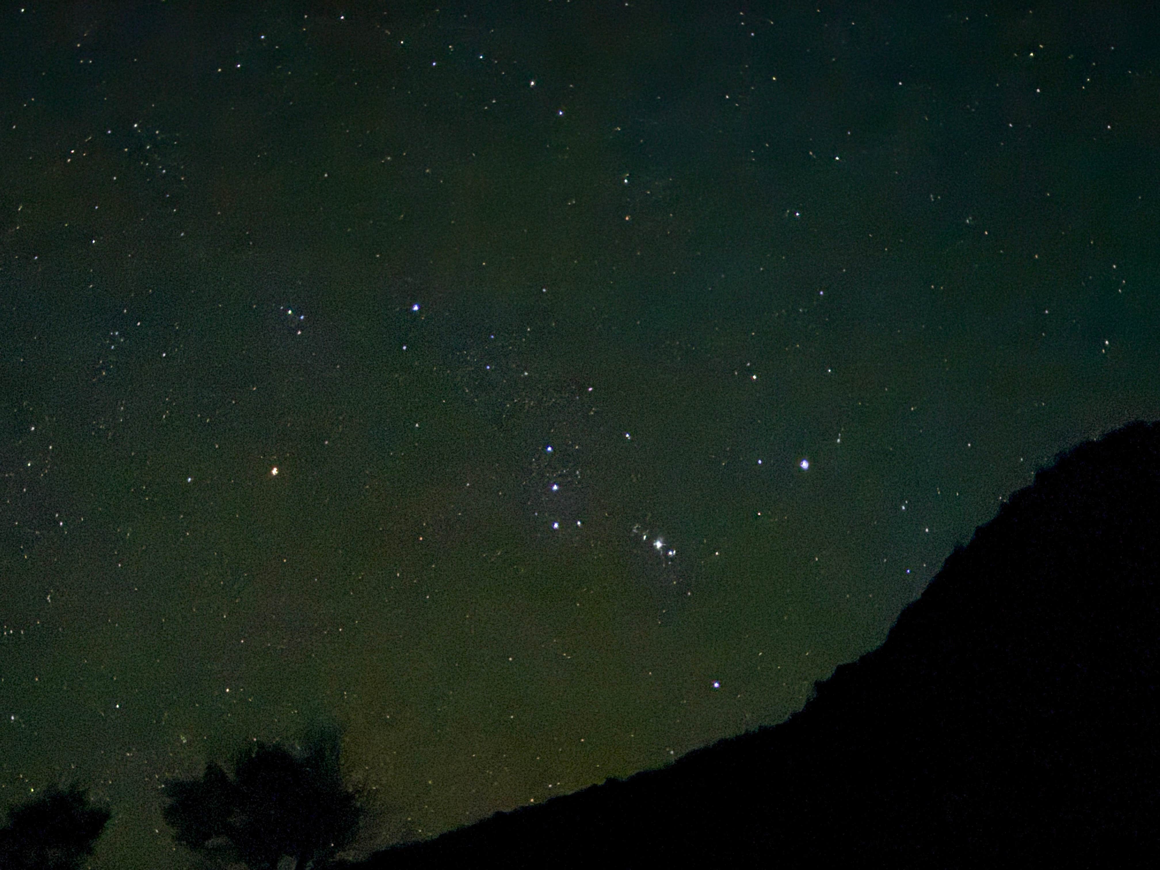 Camper submitted image from Single River Site - 5