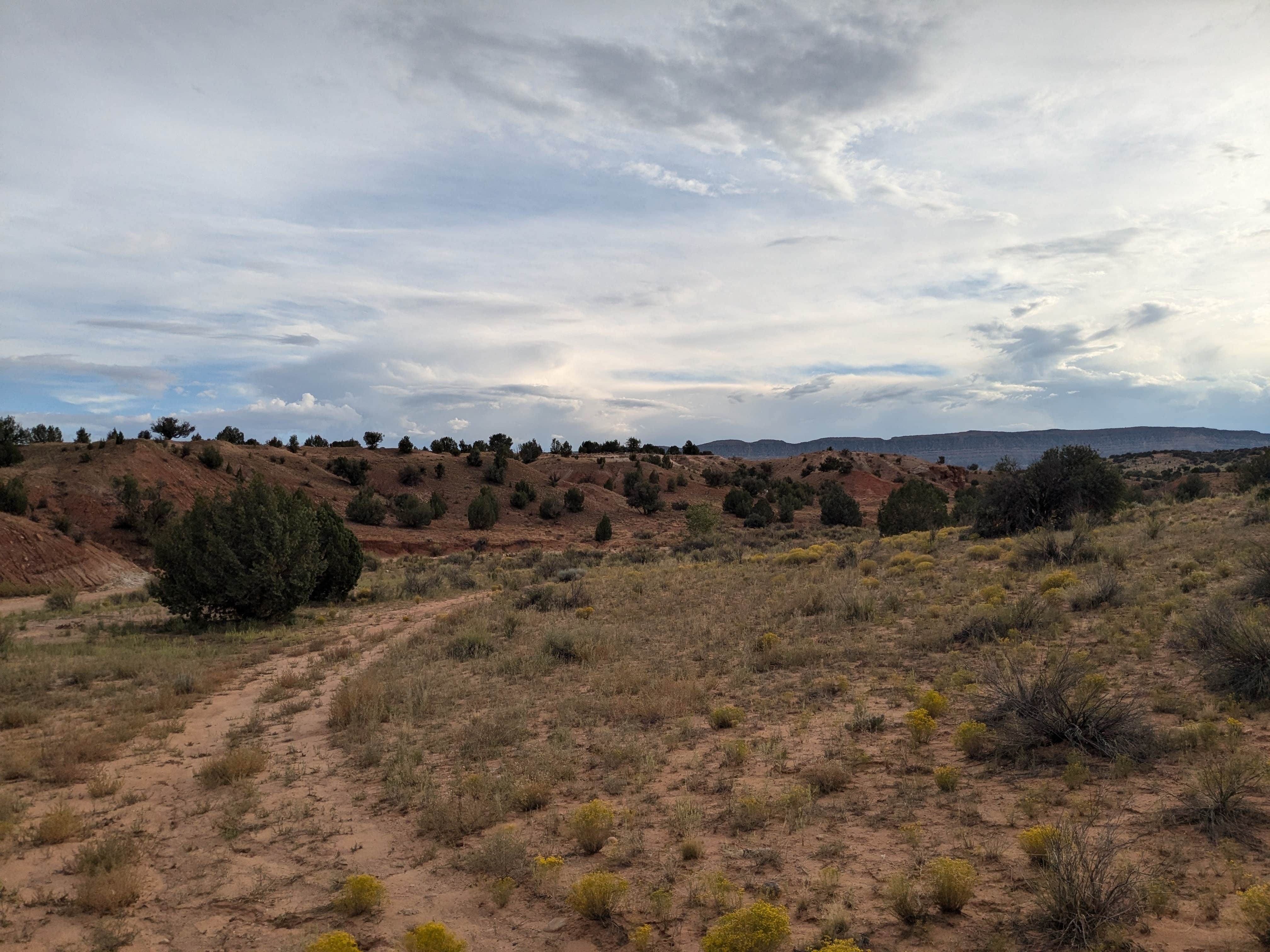Camping near Sooner Rocks Camp: Dispersed Campsite on Egypt Trailhead Road, Escalante, Utah