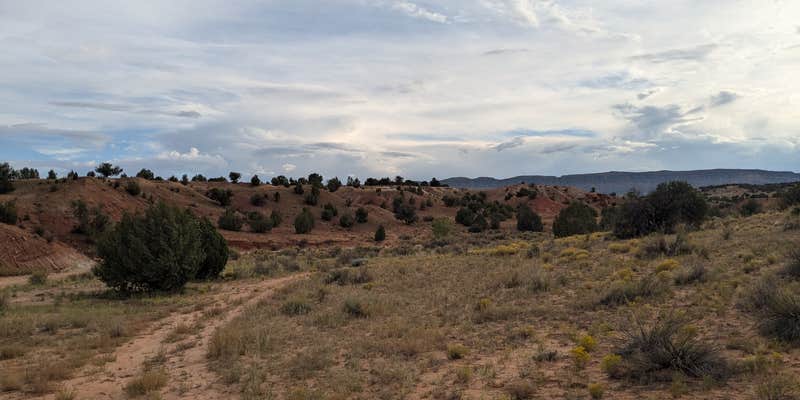 Camper submitted image from Dispersed Campsite on Egypt Trailhead Road