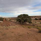 Review photo of Dispersed Campsite on Egypt Trailhead Road by DL M., September 10, 2024