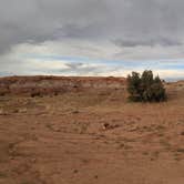 Review photo of Dispersed Campsite on Egypt Trailhead Road by DL M., September 10, 2024