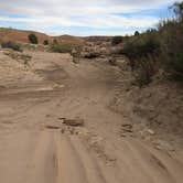 Review photo of Dispersed Campsite on Egypt Trailhead Road by DL M., September 10, 2024