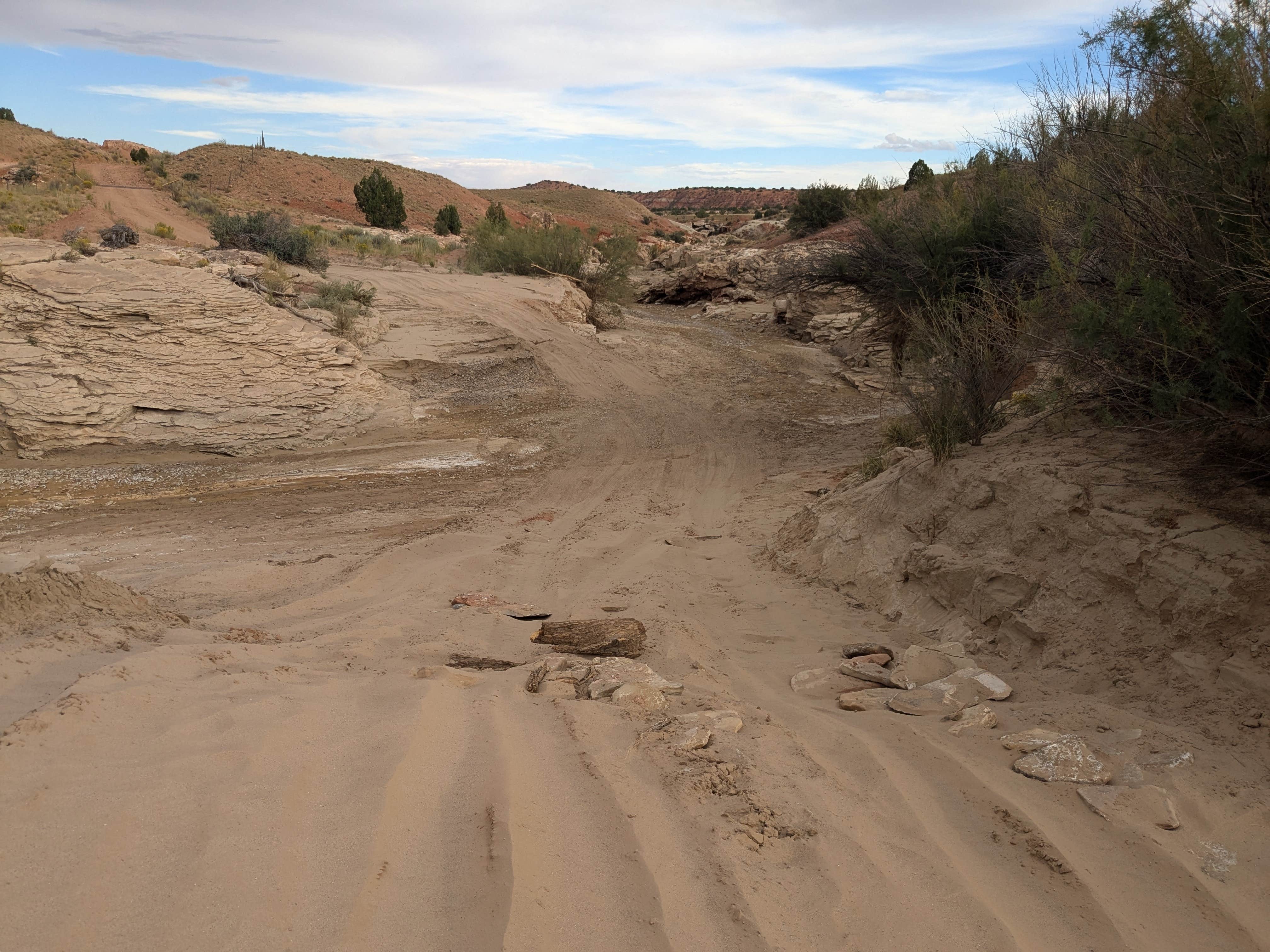 Camper submitted image from Dispersed Campsite on Egypt Trailhead Road - 2