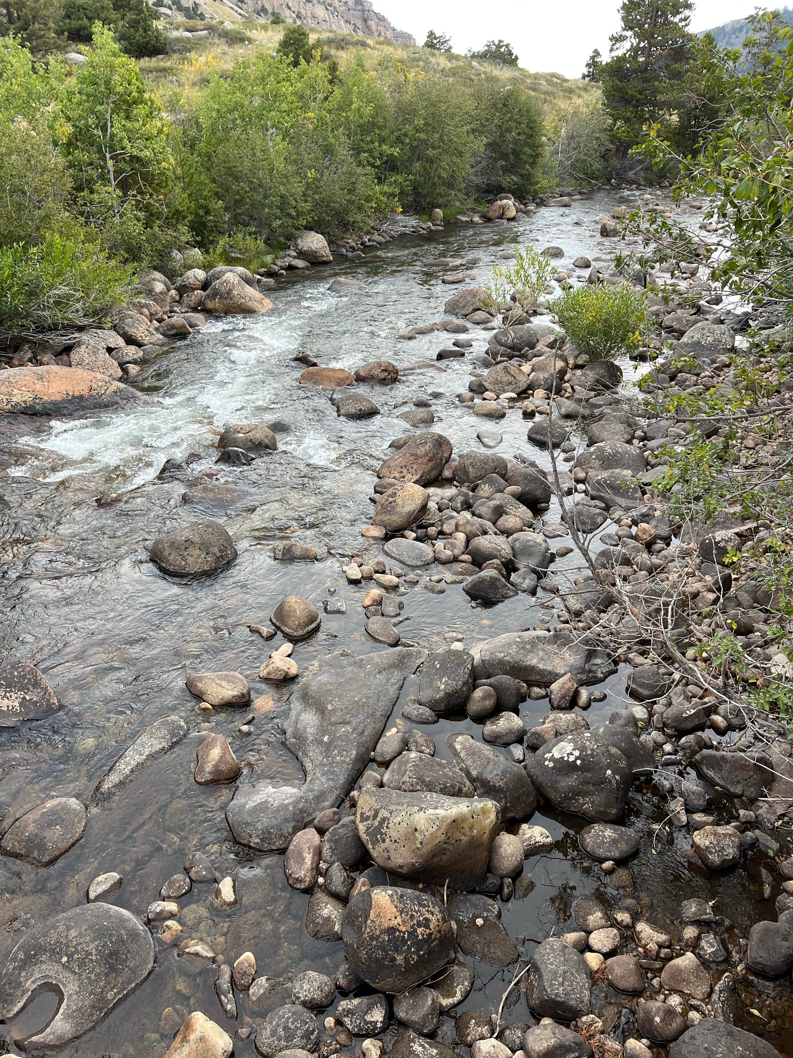 Camper-submitted photo at Sinks Canyon Campground near Lander, WY