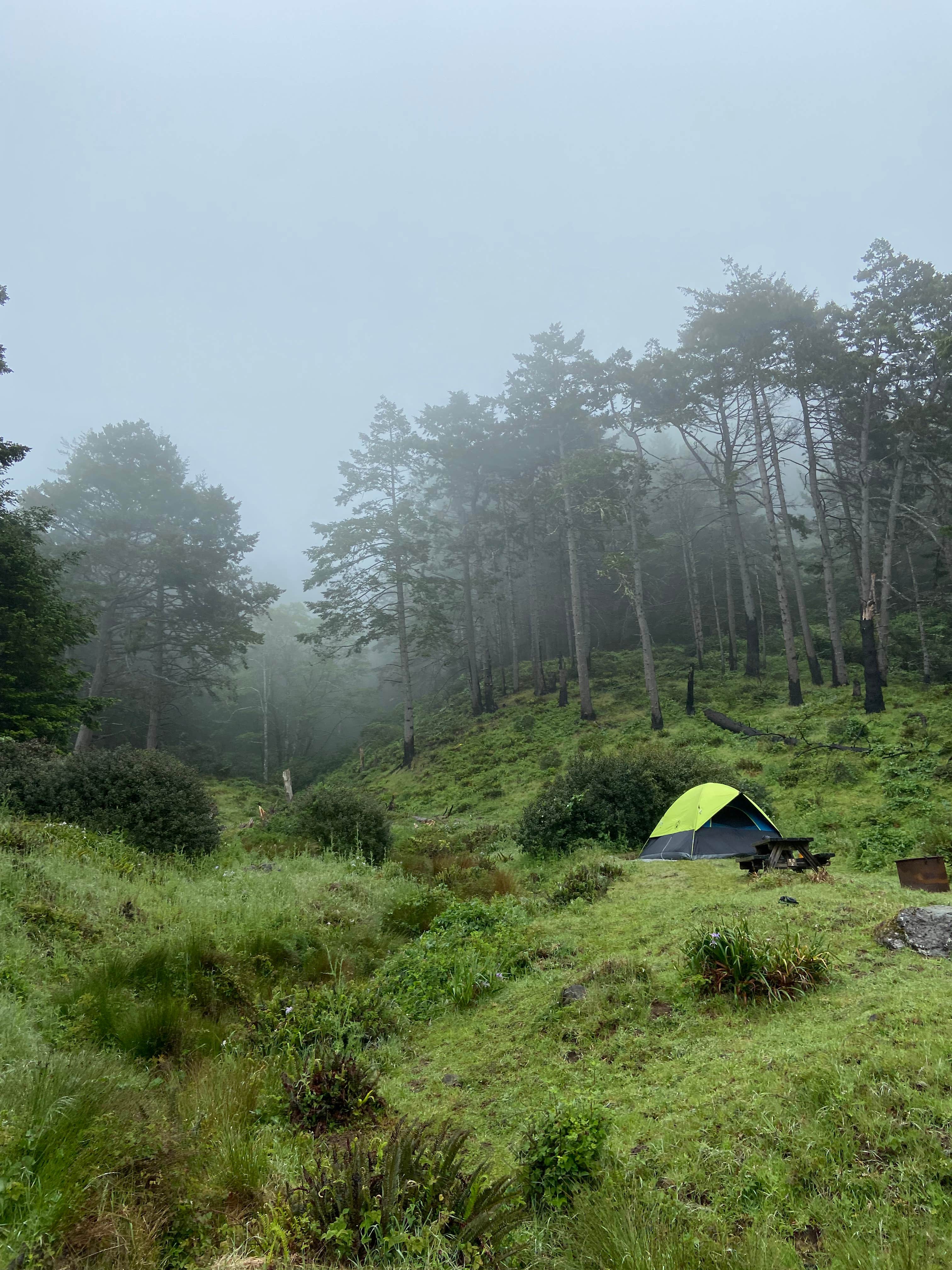 Camping near King Range Conservation Area: Bear Harbor Campsites — Sinkyone Wilderness State Park, Whitethorn, California