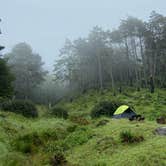 Review photo of Bear Harbor Campsites — Sinkyone Wilderness State Park by Darcy B., March 13, 2026