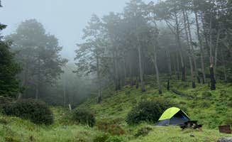 Darcy B.'s photo at Bear Harbor Campsites — Sinkyone Wilderness State Park near Leggett, CA