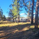 Review photo of Sisters Rodeo Dispersed Camping by Tia A., July 23, 2024