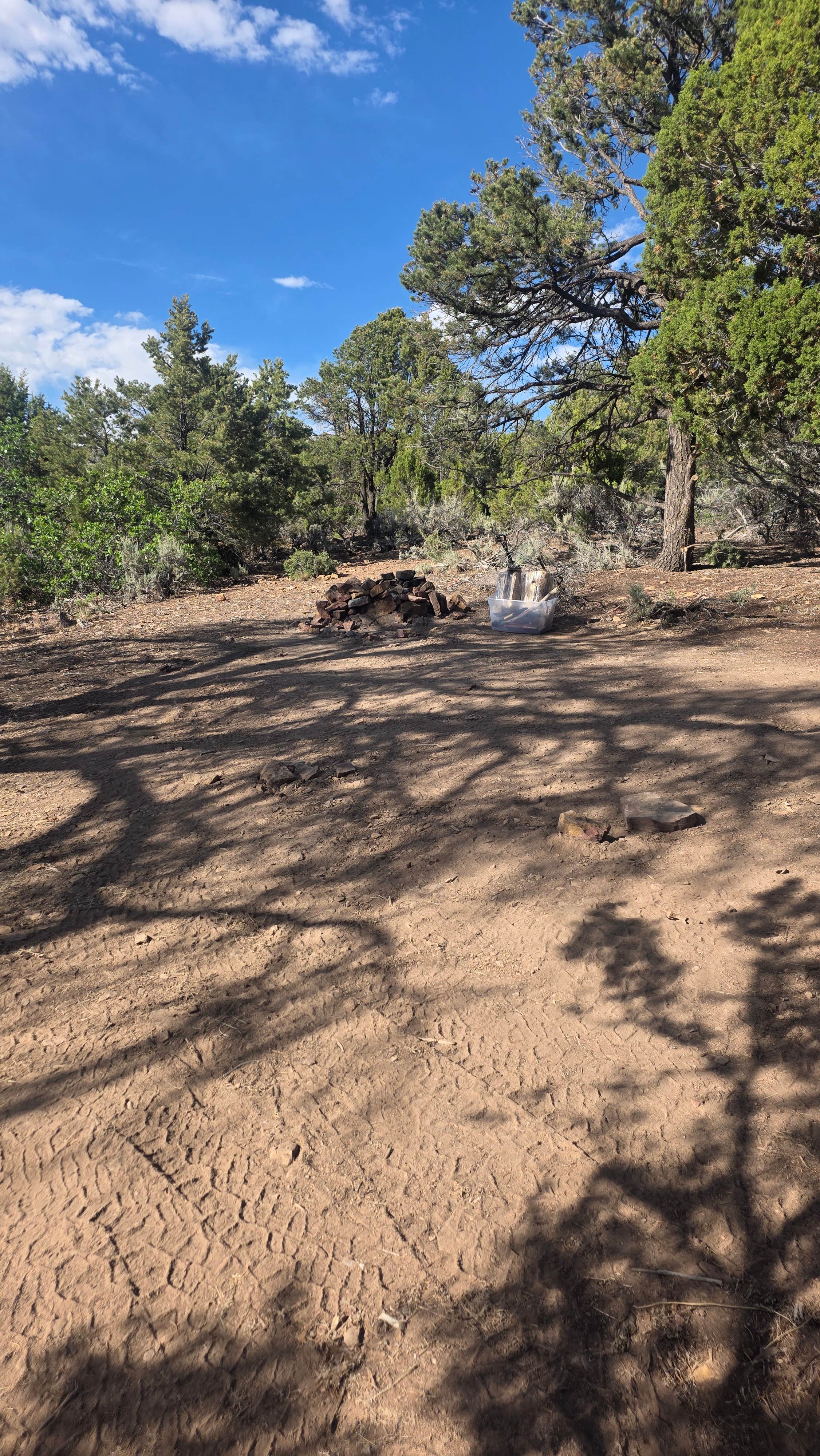 Camper-submitted photo at Site near Black Canyon Gunnison NP near Montrose, CO