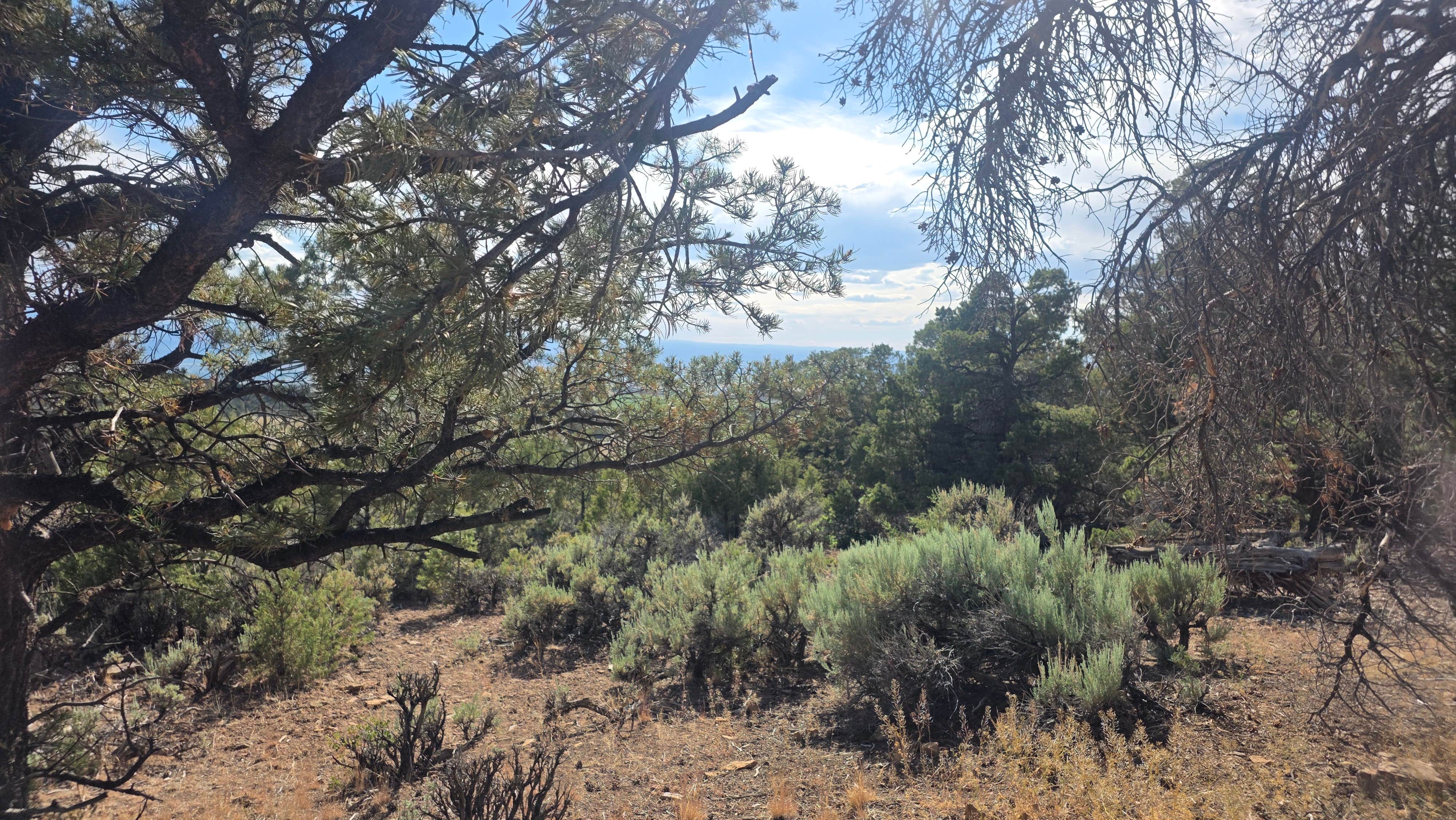 Site near Black Canyon Gunnison NP