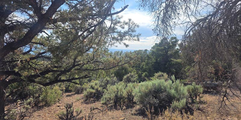 Camper submitted image from Site near Black Canyon Gunnison NP