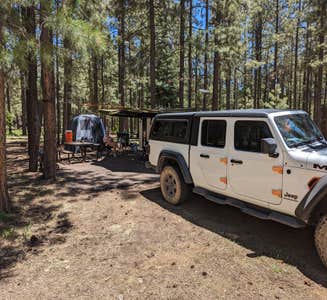 Camper-submitted photo from Sitgreaves National Forest Canyon Point Campground