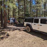 Review photo of Sitgreaves National Forest Canyon Point Campground by Frank J., June 9, 2024