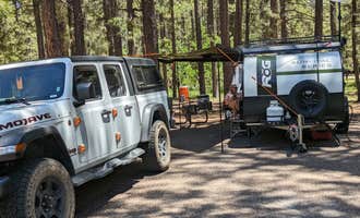 Camping near Colcord Ridge Campground: Sitgreaves National Forest Canyon Point Campground, Forest Lakes, Arizona